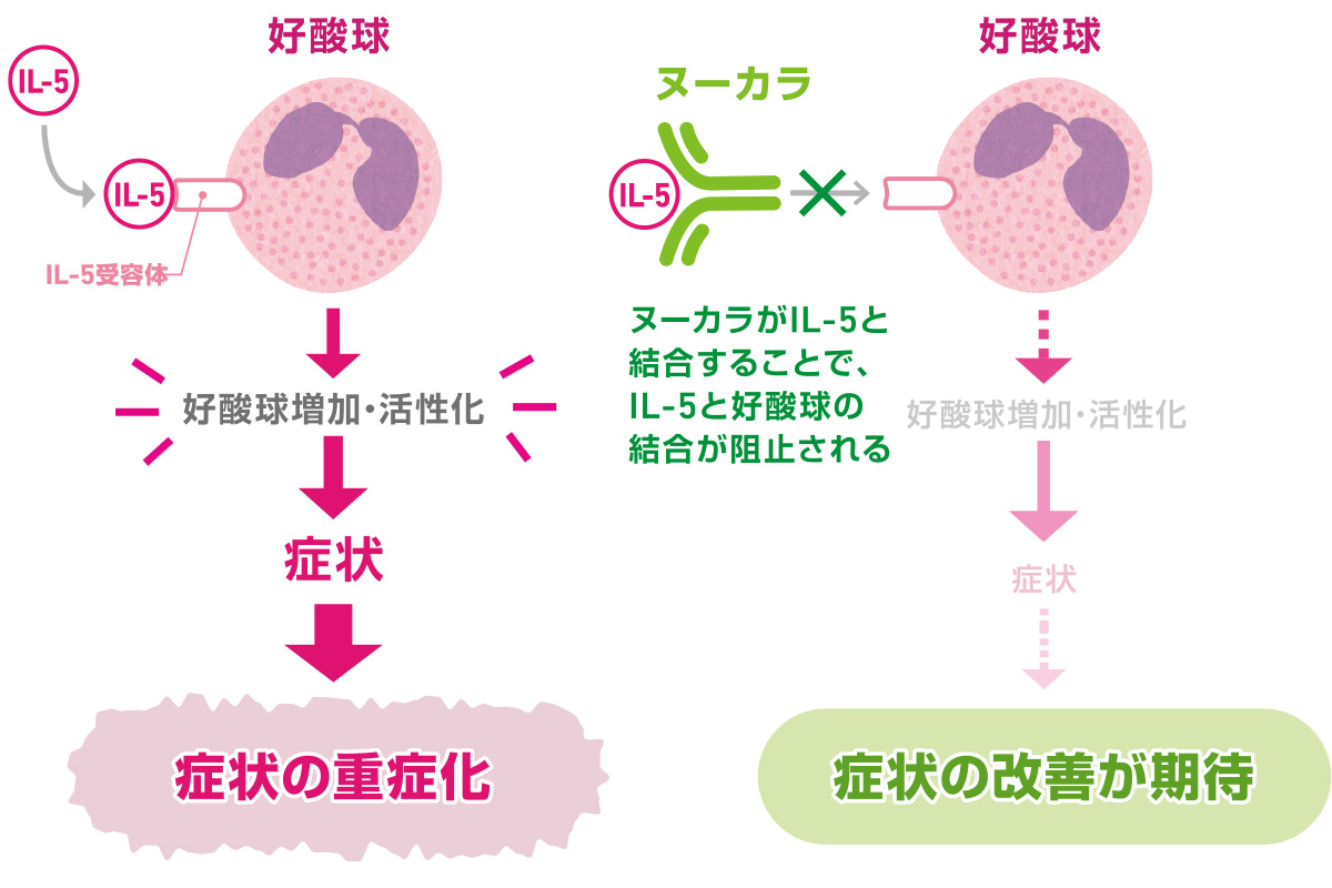 ヌーカラとは